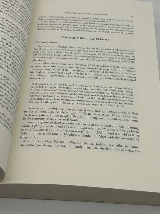 Jewish Views of the Afterlife by Simcha Paull Raphael Third Edition