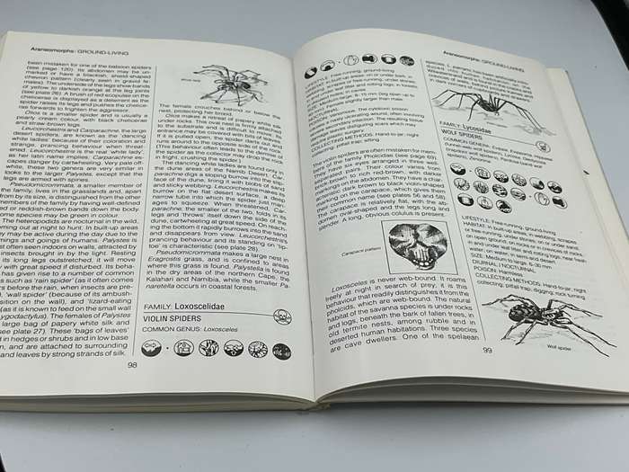 Southern African Spiders ~ An Identification Guide - Martin R Filmer | Illustrated by Linda Duigan