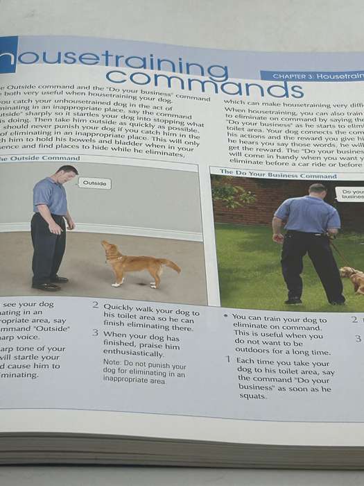 Maran Illustrated Dog Training