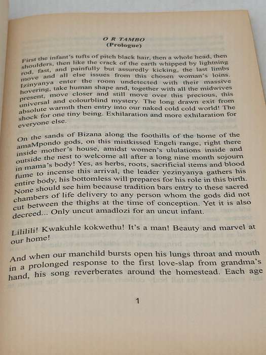 Voices that Lead: Poems by Lindiwe Mabuza | Vivlia, 1998 | African Writers