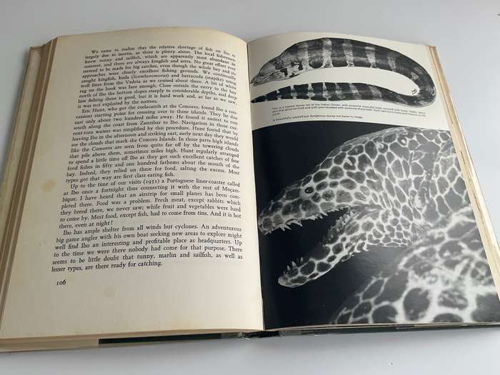 High Tide by Professor JLB Smith | Signed by Margaret M Smith