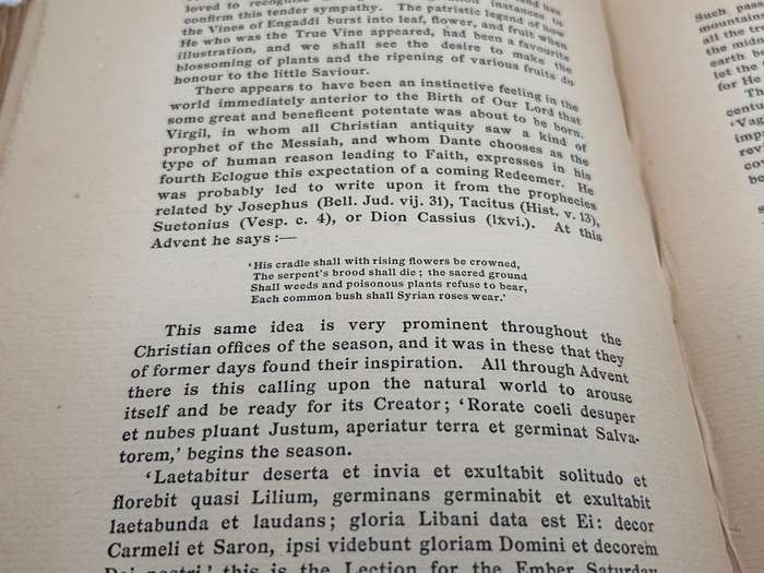 The Flora of the Sacred Nativity ~ Alfred E.P. Raymund Dowling | Published 1900