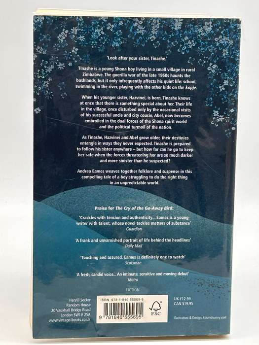 The White Shadow by Andrea Eames | Zimbabwe Fiction