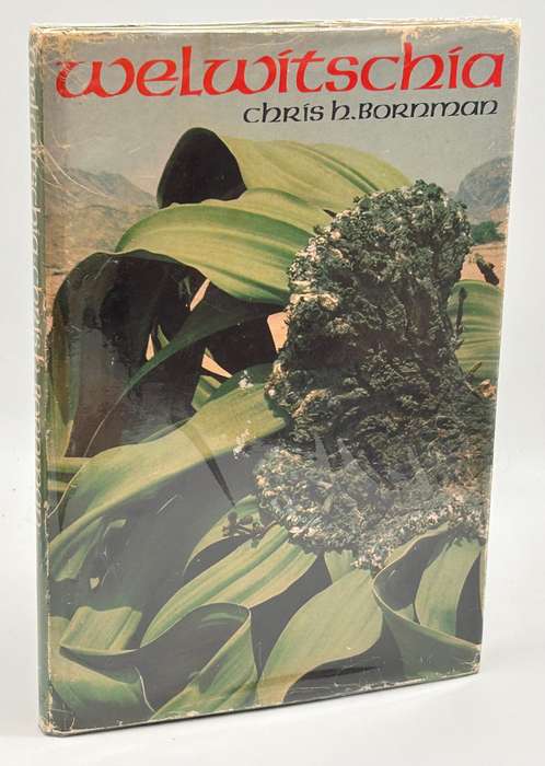 Welwitschia: Paradox of a parched paradise by Chris H Bornman