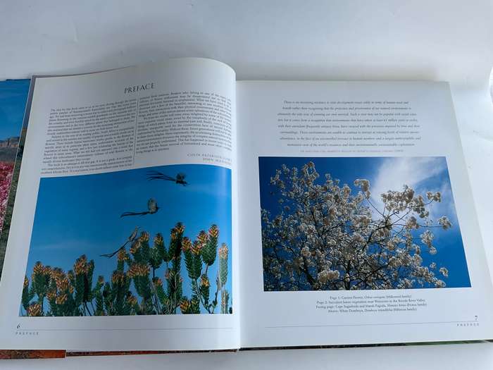 Southern African Wild Flowers - Jewels of the Veld by John Manning