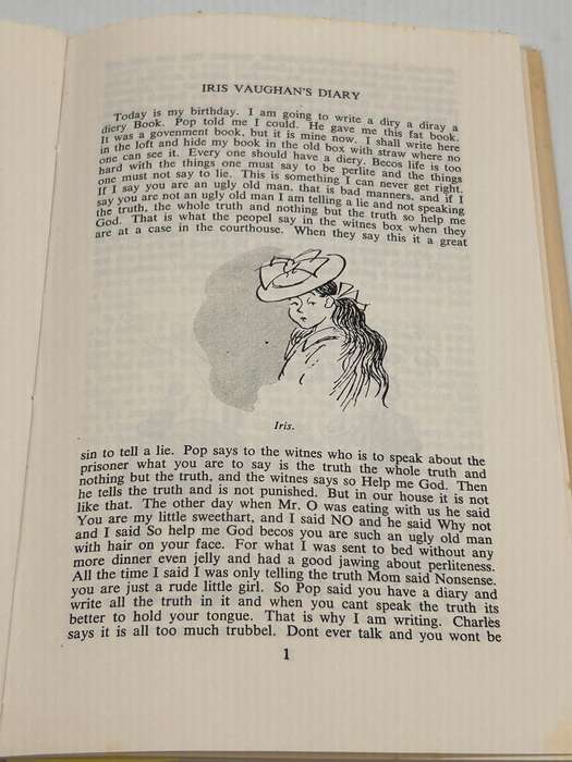 The Diary Of Iris Vaughan