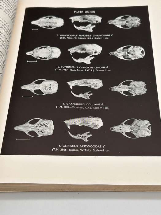 The Mammals of South Africa by Austin Roberts | Poor cover internally fine Research Copy 1951