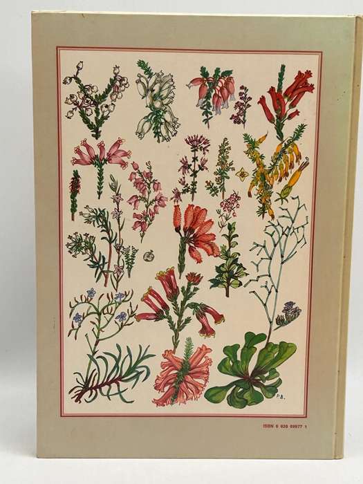 Flowering Plants of the Southern Cape by Pauline Bohnen