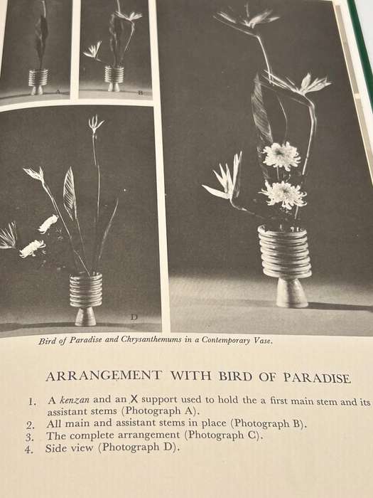 Introducing Ikebana & Imaginative Ikebana ~ Meikof Kasuya