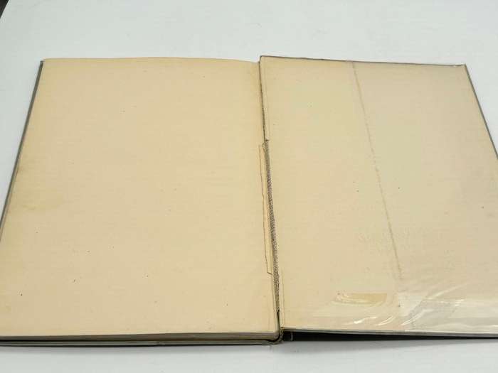 Augustus John - Drawings