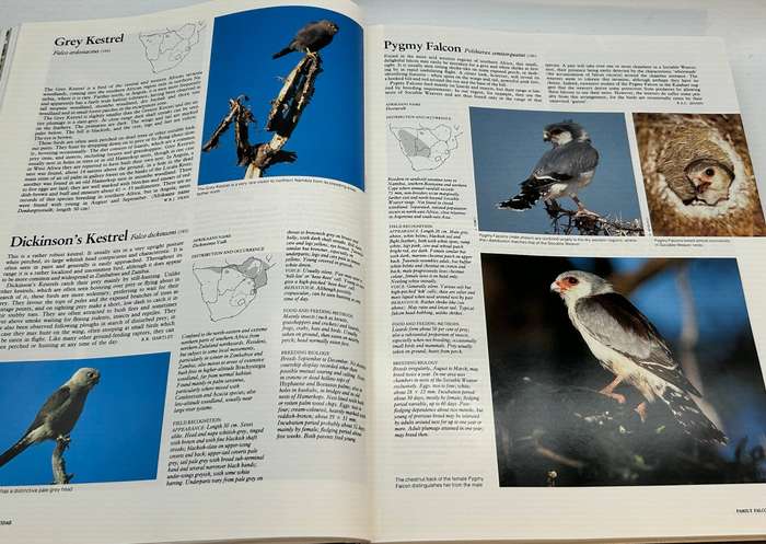 The Complete Book of Southern African Birds  Ginn, McIlleron, Milstein