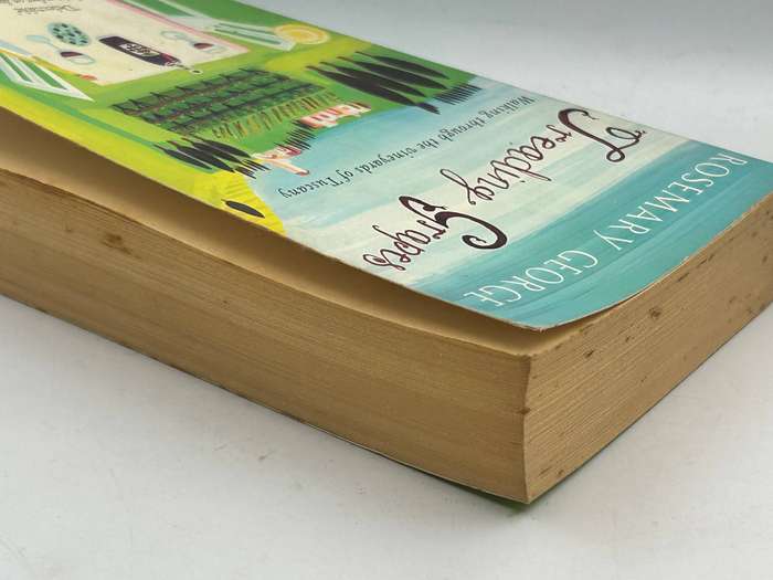Treading Grapes: Walking Through The Vineyards Of Tuscany ~ Rosemary George