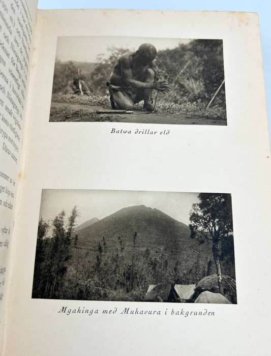 Bland dvargar och gorillor Med Svenska Zoologiska Expeditionen till Centralafrika 1921 in Swedish