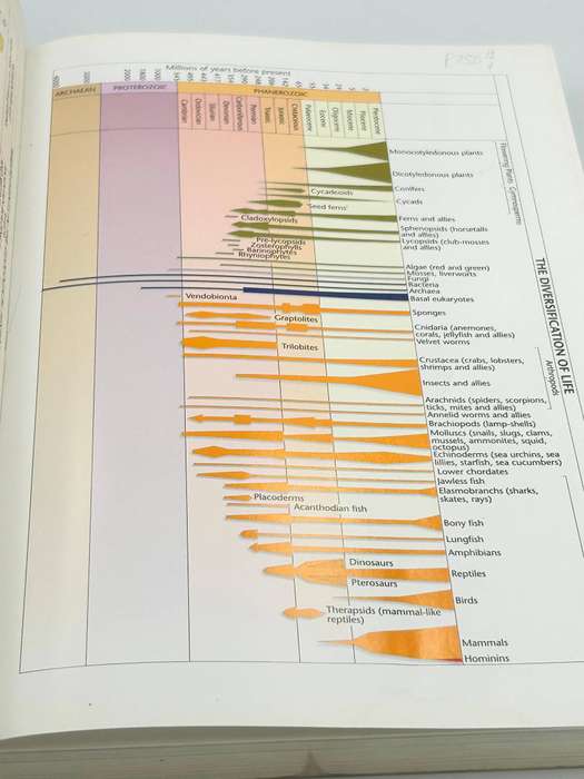 The Story of Earth and Life, A Southern African Perspective on a 4.6-billion-year journey ~ McCarthy