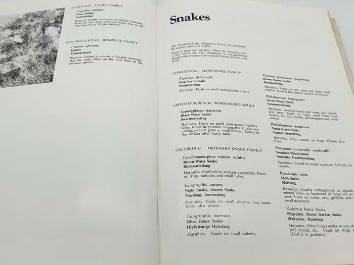 Southern Cape Forests And Trees - F Von Breitenbach - Hardcover Dept of Forestry 1974