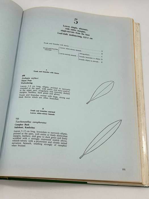 Southern Cape Forests And Trees - F Von Breitenbach - Hardcover Dept of Forestry 1974