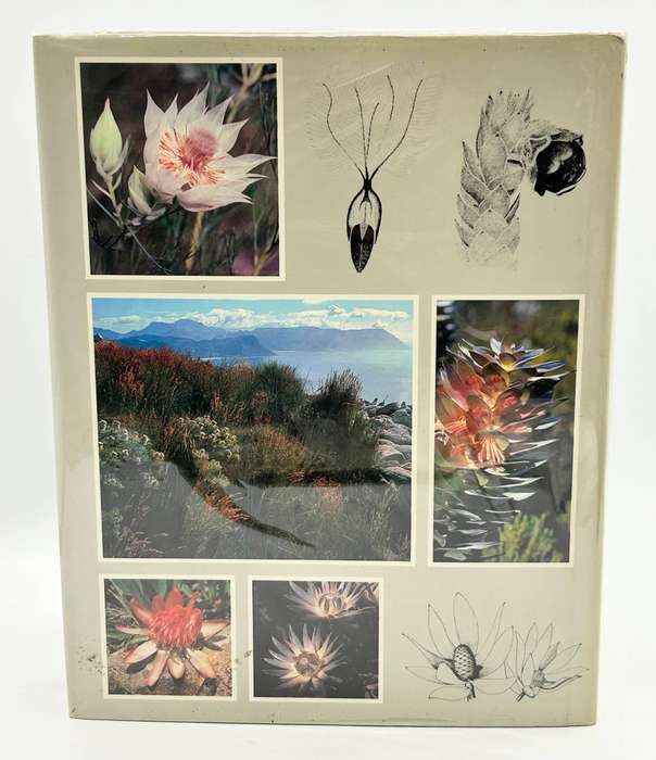 Suid-Afrika se Proteaceae - Marie Vogts