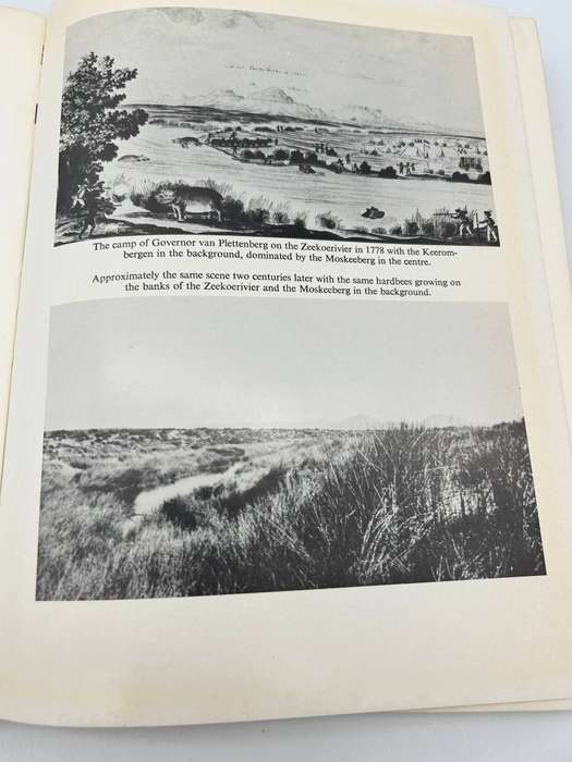 The Microcosm by Thelma Gutsche | Signed