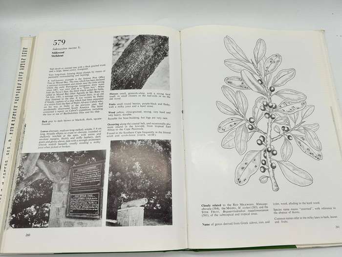 Southern Cape Forests And Trees - F Von Breitenbach - Hardcover 1974