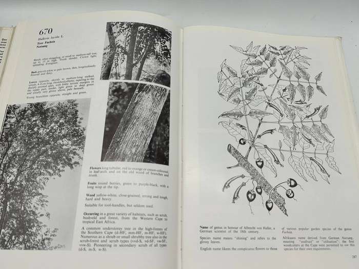 Southern Cape Forests And Trees - F Von Breitenbach - Hardcover 1974