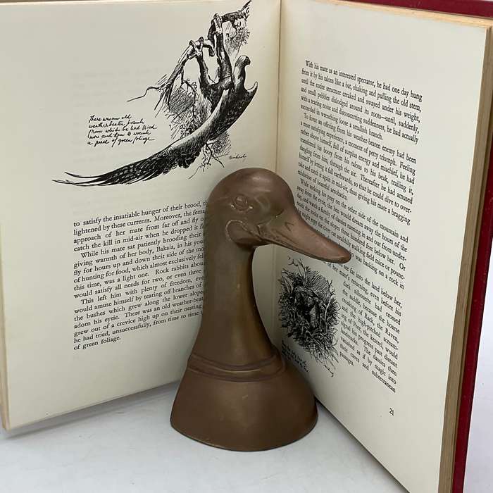 Wings of the Wild - H von Michaelis 1953