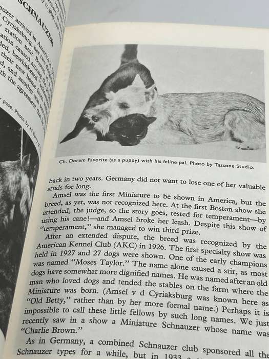This is the Miniature Schnauzer ~ Louise Ziegler Spirer and Herbert F. Spirer 1963