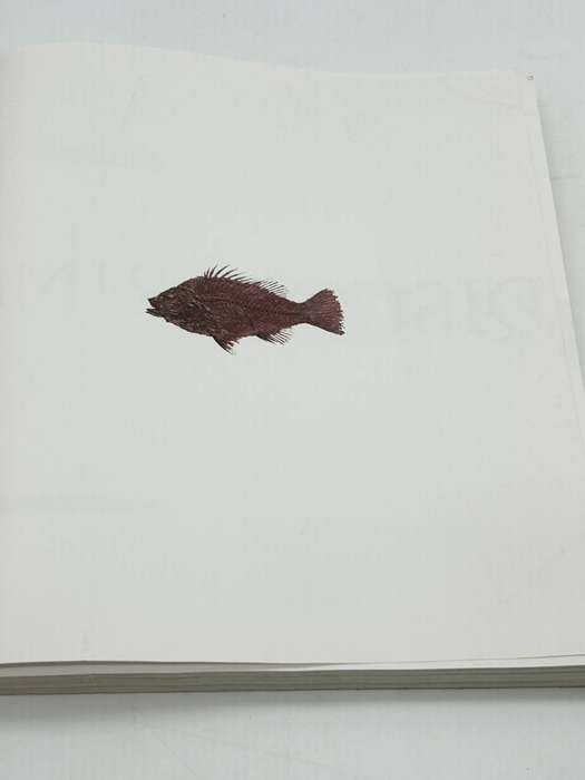 Discovering Fossil Fishes ~ John G Maisey