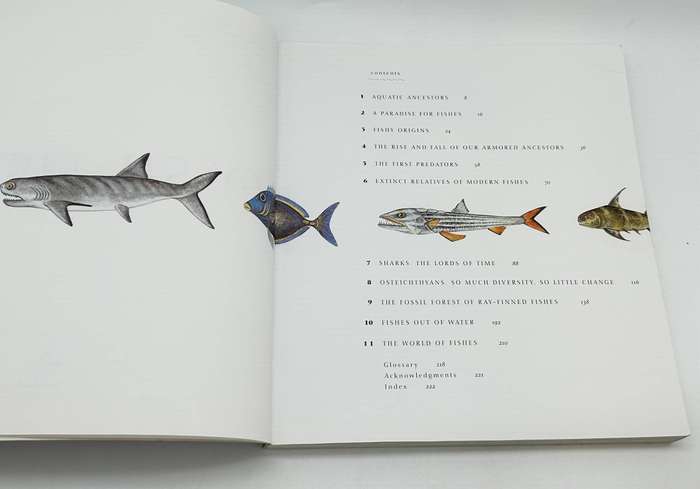 Discovering Fossil Fishes ~ John G Maisey