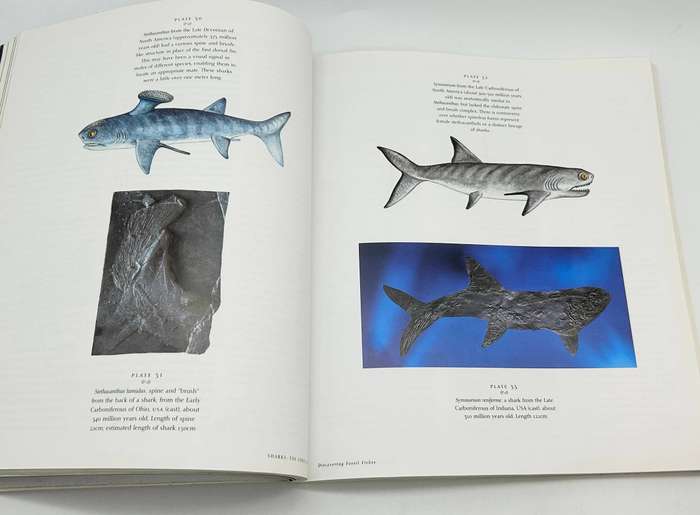 Discovering Fossil Fishes ~ John G Maisey