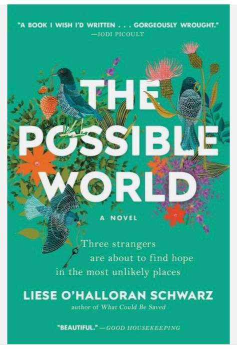 The Possible World by Liese O'Halloran Schwarz