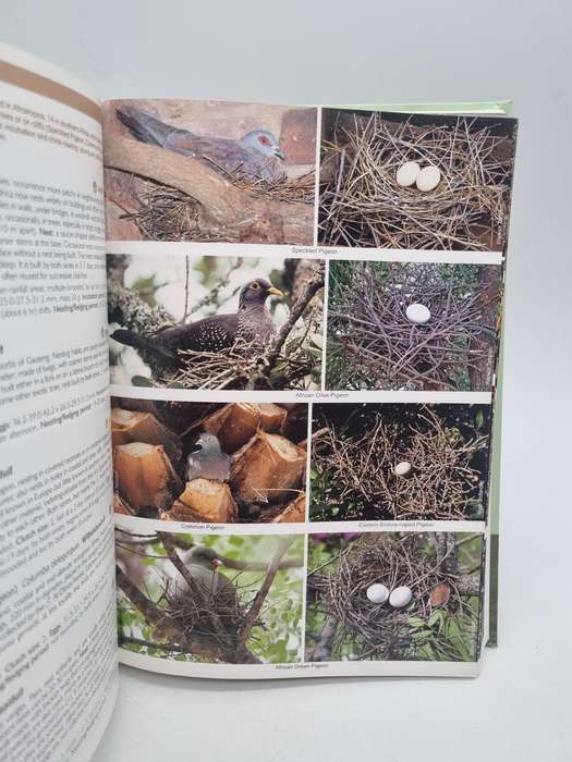Roberts Nests & Eggs of Southern African Birds - Warwick Tarboten