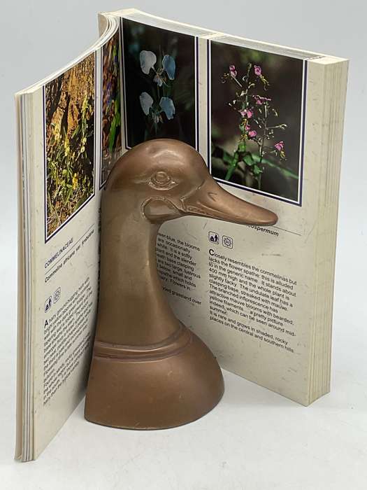 Sappi Wild flower guide: Mpumalanga & Northern Province - Jo Onderstall | 1996