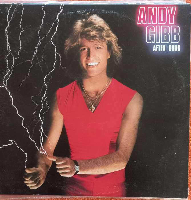 Lot of 4x Lp's - CCR, Andy Gibb, Leo Sayer & Cabaret-Klassiker