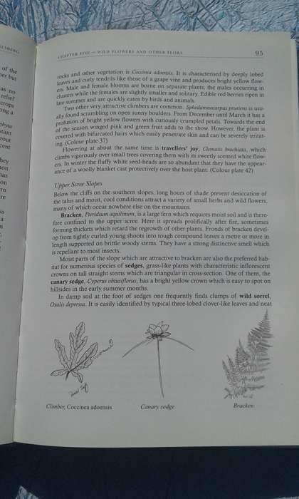 `The Magaliesberg`  Vincent Carruthers.  Hard cover.
