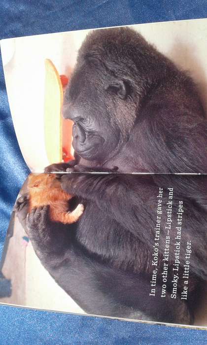"Unlikely Friendships"  for kids aged 7 up.  Hard cover.