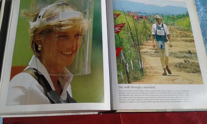 "Diana"  Unseen Archives.  Hard cover.
