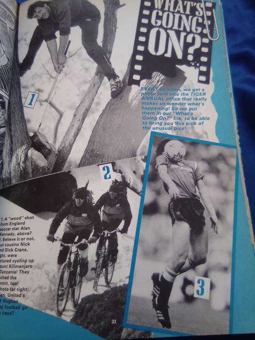 `Tiger"  Annual 1987. Hard cover.