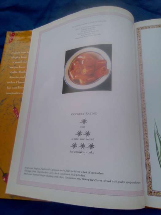 `Hot & Spicy"  Thai Indian Asian & Cajun.Hard cover.