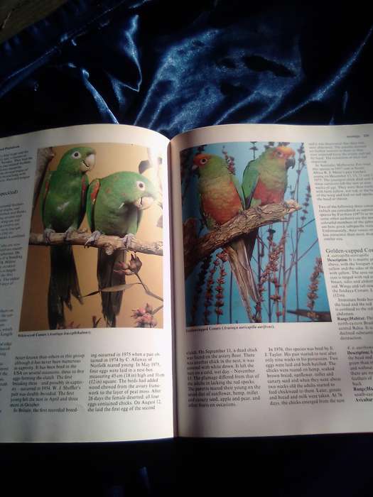 " Parrots  Their care and Breeding"  Hard cover.