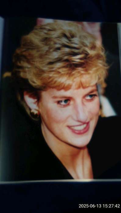 "Diana" The People's Princess.  Hard cover.