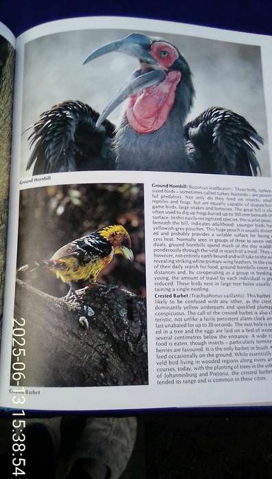 "Everyone's Guide to South African Birds"  Hard cover.