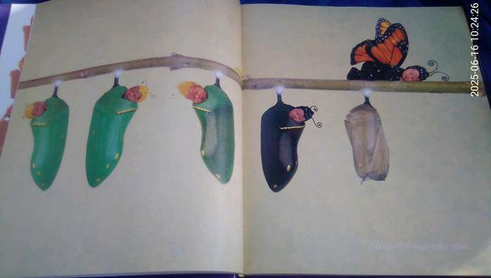 "Down in the Garden"  Añne Geddes.  Hard cover.