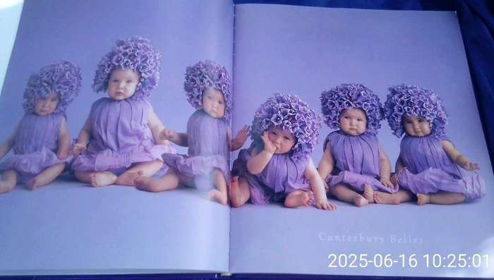 "Down in the Garden"  Añne Geddes.  Hard cover.