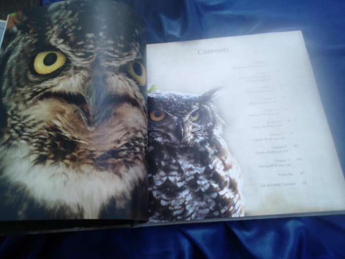 "Pot Plant Owl" Hard cover.