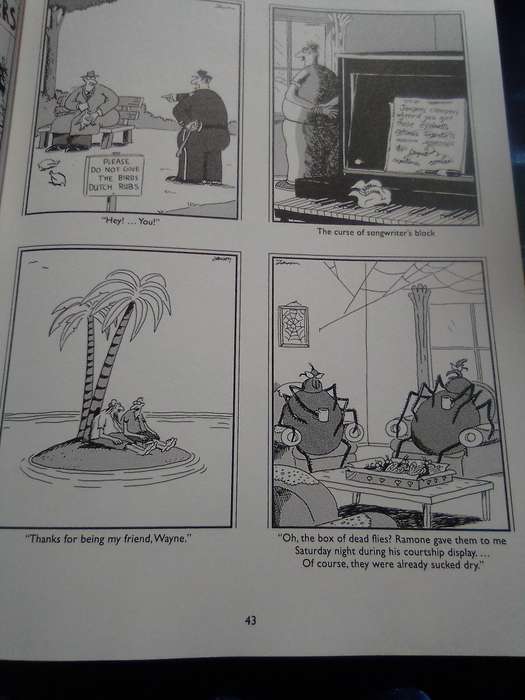"The Far Side Gallery 5". Soft cover.