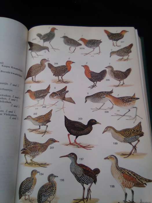 1978. "Roberts Birds of South Africa" Hard cover.