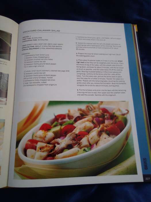 "Weber Braai Bible"  Hard cover.