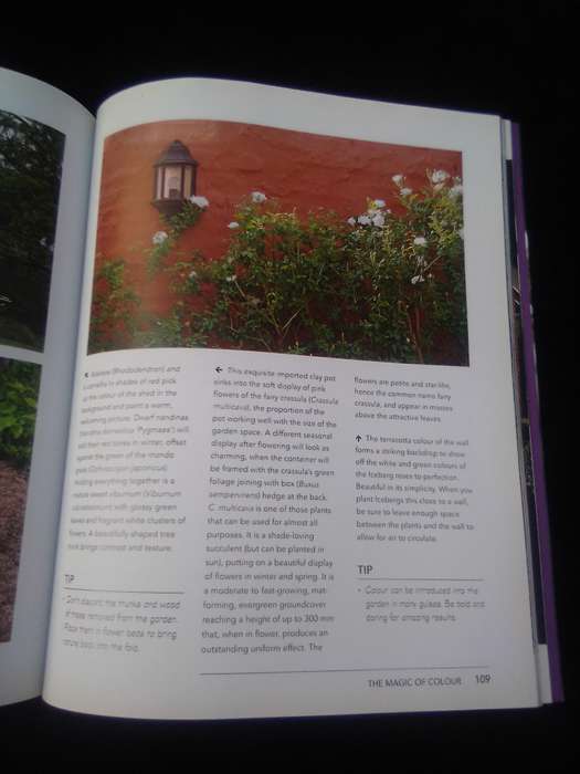"Focal Points and features in today's gardens"  Soft cover.