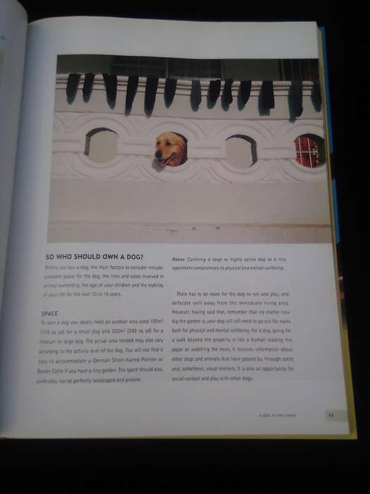 "Understanding your Dog"  Hard cover.
