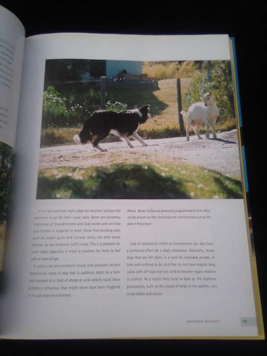 "Understanding your Dog"  Hard cover.